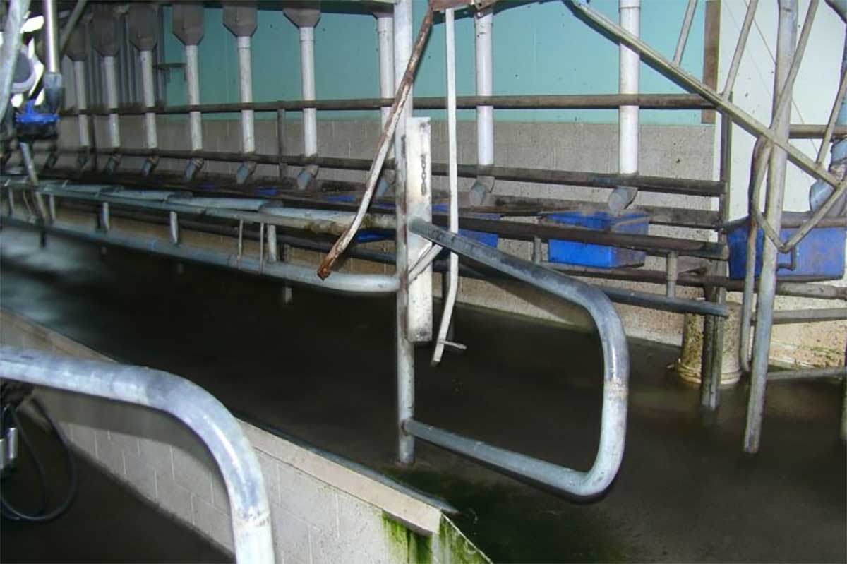 Cowsheds